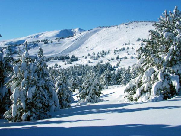 شقة La Pradella Bolquere Pyrenees 2000 المظهر الخارجي الصورة